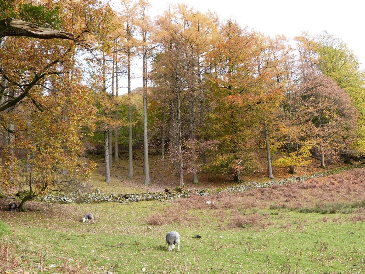 Cherry - Woodland Cottages Bowness-on-Windermere Eksteriør bilde